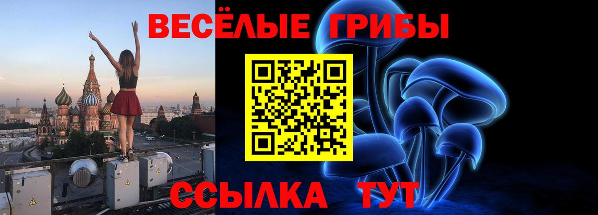 Псилоцибиновые грибы Cubensis  Галлюциногенные грибы Psilocybine cubensis  Нижний Тагил  Вход с VPN 