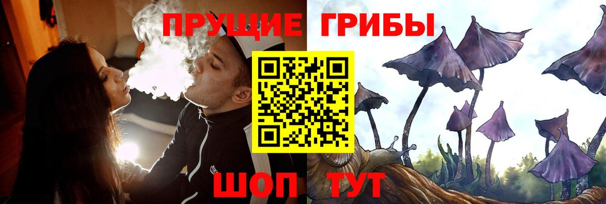 Галлюциногенные грибы прущие грибы Нижний Тагил